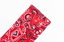 Load image into Gallery viewer, Closeup of face mask Red Paisley print

