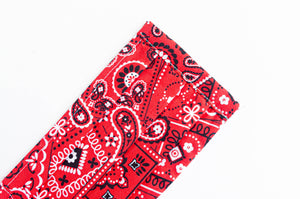Closeup of face mask Red Paisley print